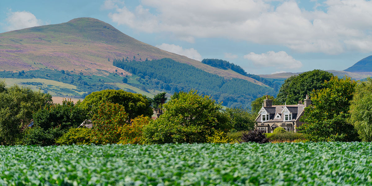 Lawrie Estate Agents in Cupar, Howe of Fife, St.Andrews & East Neuk of Fife
