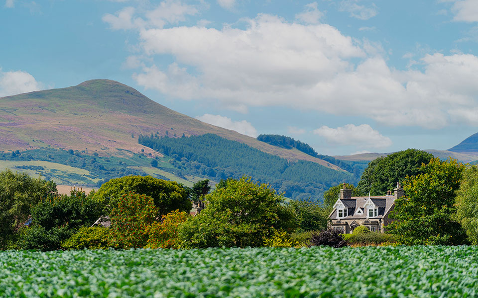 Lawrie Estate Agents in Cupar, Howe of Fife, St.Andrews & East Neuk of Fife
