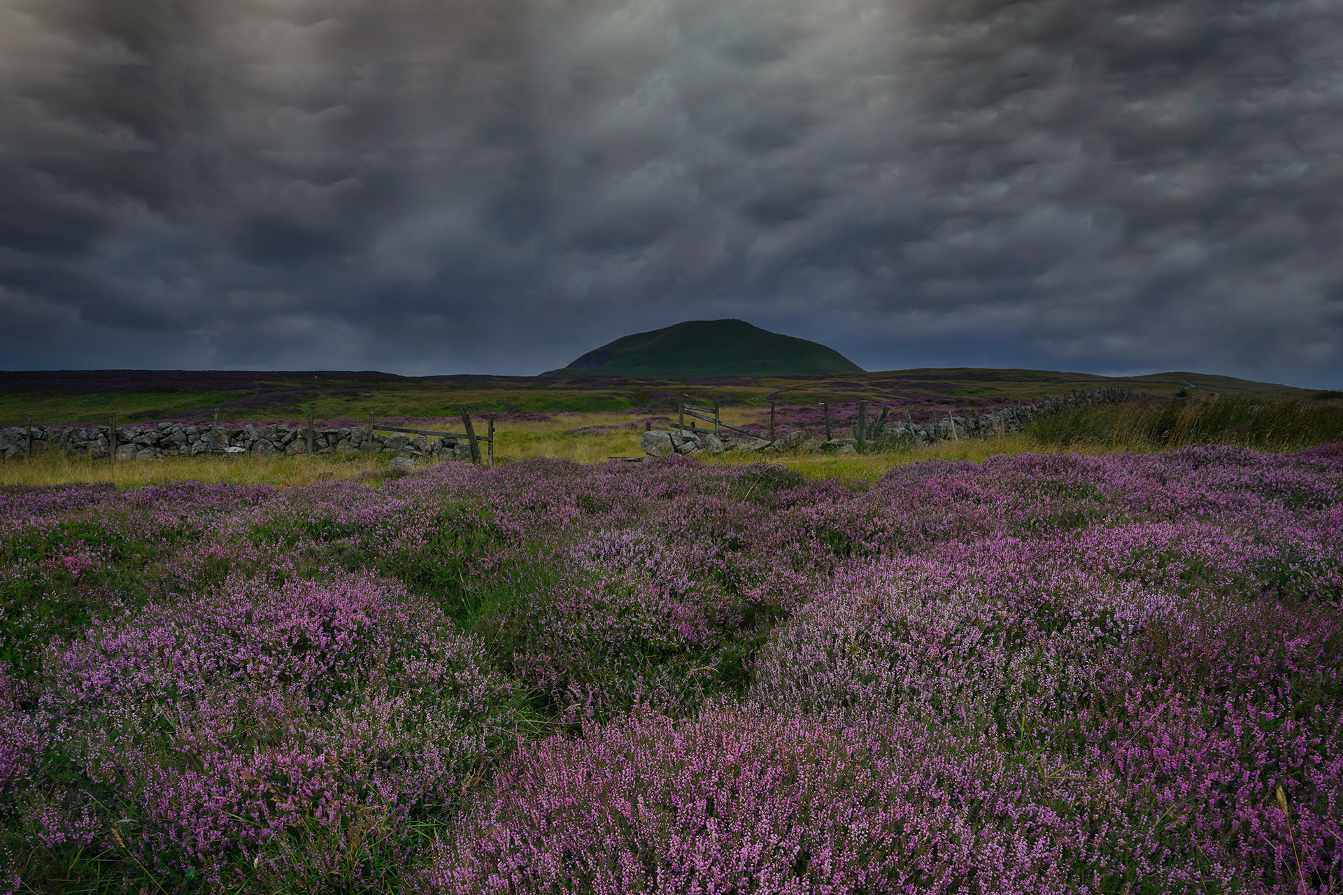 Lawrie Estate Agents in Cupar, Howe of Fife, St.Andrews & East Neuk of Fife